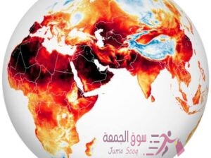 مطلوب مدخل بيانات