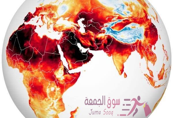 مطلوب مدخل بيانات