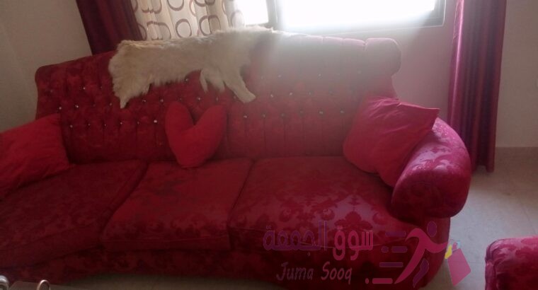 الزرقاء الجديدة