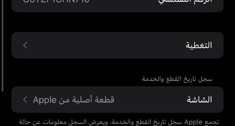 11 برو ماكس استخدام شخصي للبيع
