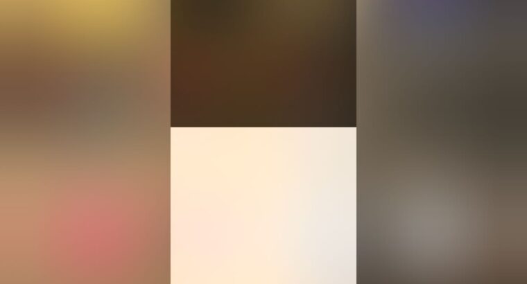 11 برو ماكس استخدام شخصي للبيع