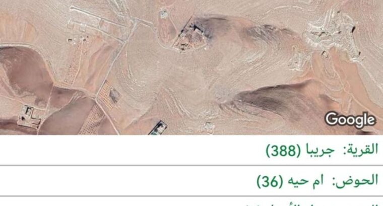 ارض مميزة جريبا