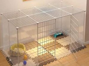 حصيرة قطط