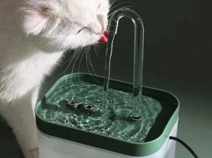 نافورة شرب المياه