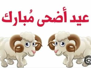 سلفة بتسدها بعد شهر بدون فوائد