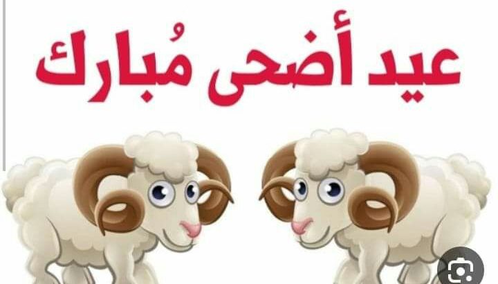 سلفة بتسدها بعد شهر بدون فوائد