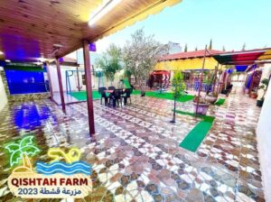 لا تدور على أرخص دور على أحسن مزرعة