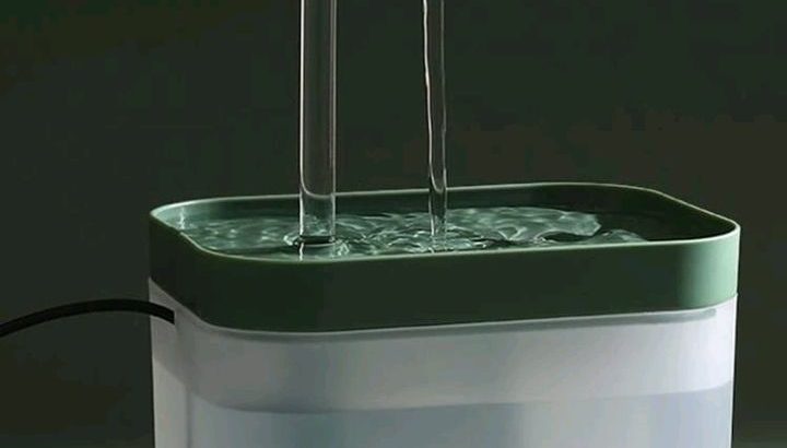 نافورة شرب المياه