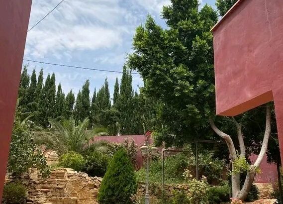 بتدور على مزرعة تصيف فيها
