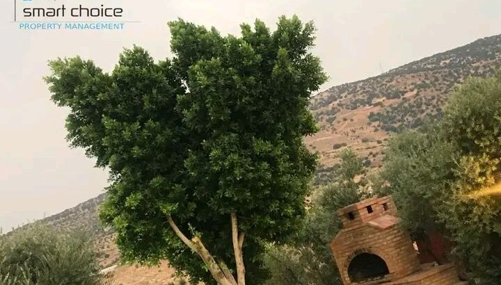 بتدور على مزرعة تصيف فيها