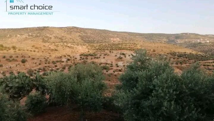 بتدور على مزرعة تصيف فيها