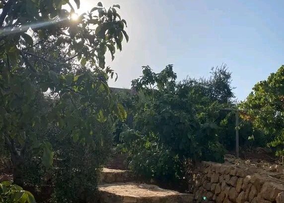 بتدور على مزرعة تصيف فيها