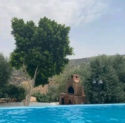 بتدور على مزرعة تصيف فيها