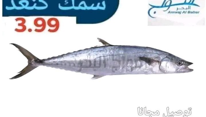 جبنالك افضل انواع السمك لعندك بسعر نااار