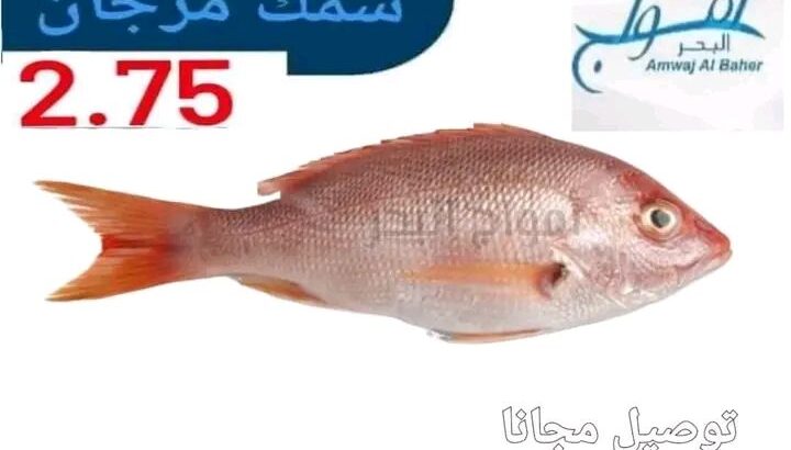 جبنالك افضل انواع السمك لعندك بسعر نااار