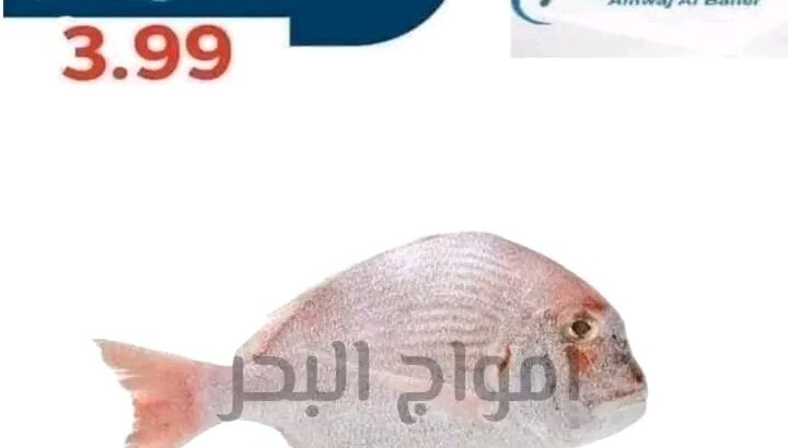 جبنالك افضل انواع السمك لعندك بسعر نااار
