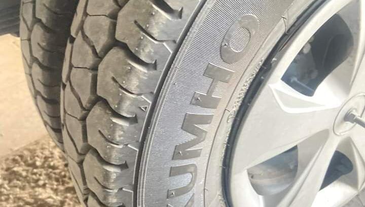 بنغووو للبيع