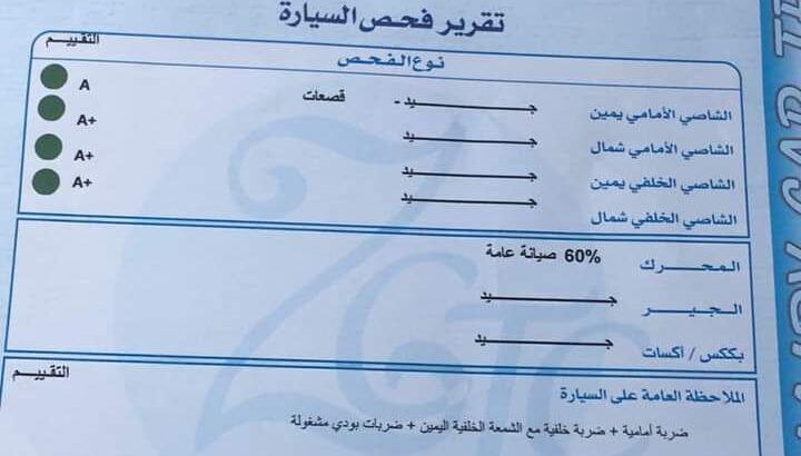 بنغووو للبيع