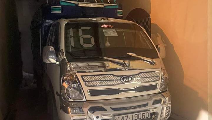 بنغووو للبيع