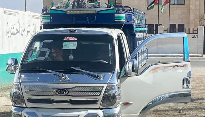 بنغووو للبيع