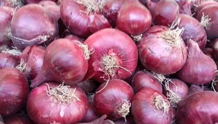 قطف طازه من المزرعه لعندك