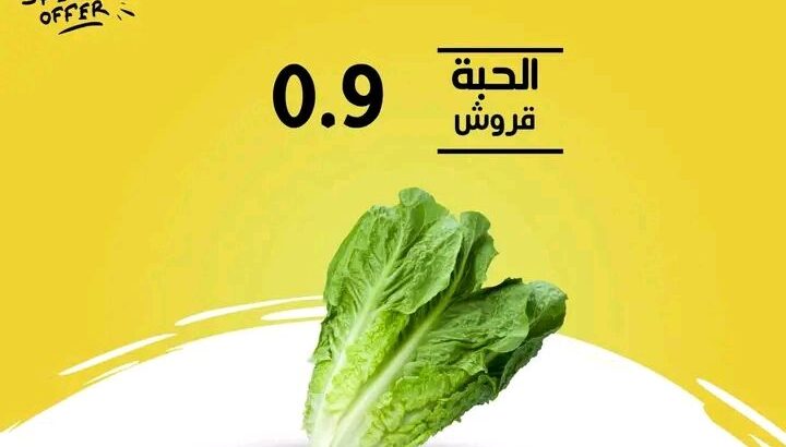 اطيب واشهى الفواكه