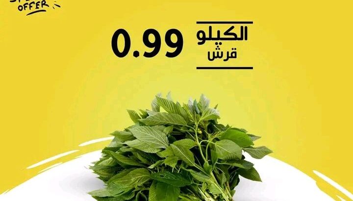 اطيب واشهى الفواكه