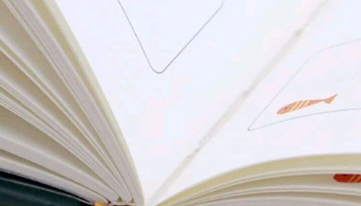 خطط ليومك بشكل ممتاز ✅👍