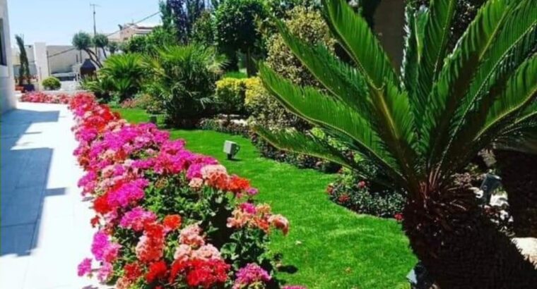 تنسيق الحدائق وانشاء المزارع زراعة جميع انواع الأشتال