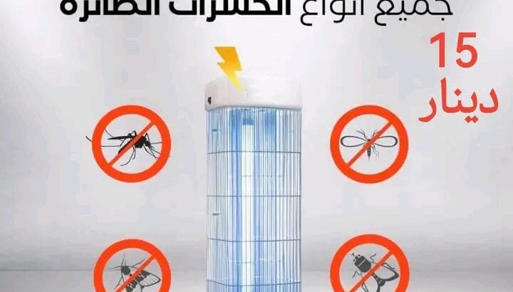 اقضي على الحشرات كليا