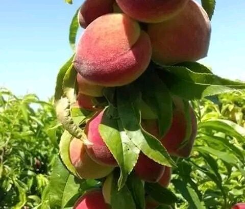 الصور واقع من معرضنا