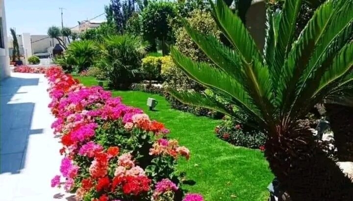حديقتك هي واجهة بيتك، صممها صح