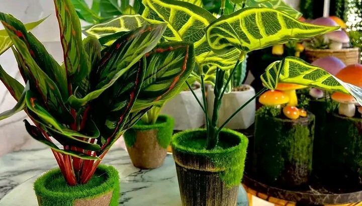 مزهريات وديكورات روعة