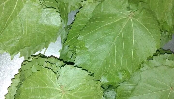 مفرزات بنظافة و جودة عالية
