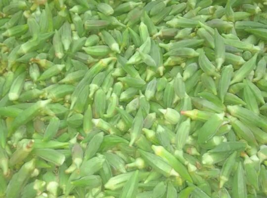 عروض على المفرزنات
