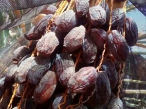 عرض خرافي لعشاق القهوه والتمور