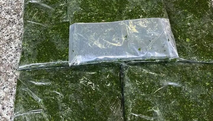 مفرزات بنظافة و جودة عالية