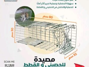 مصائد