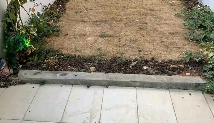 شقة للإيجار
