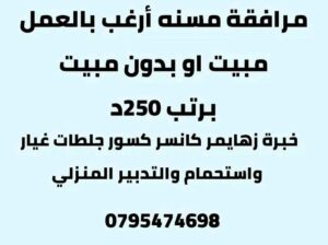 أبحث عن وظيفة