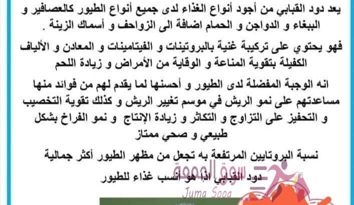 Mealworm دود قبابي