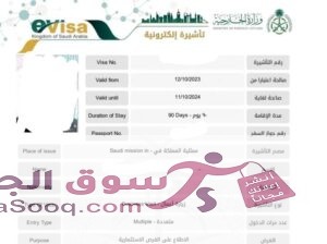 فيز سعودية متعددة سفرات