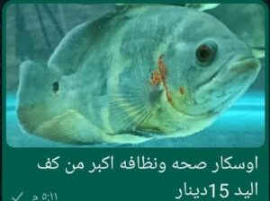 اسماك زينه بالصلاه على النبي