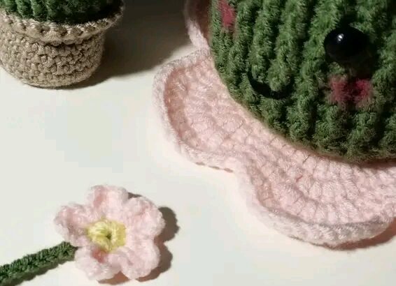 صبَّارة لكنِّي  أرقُّ مما تتصور 🌵🌸🥺