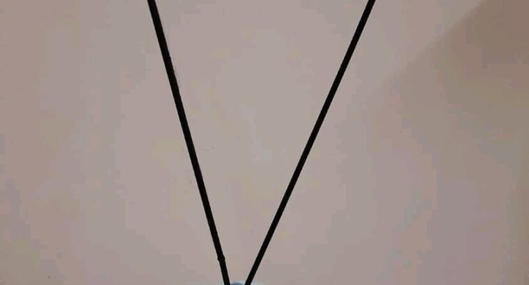 عرض العصفور.🐦