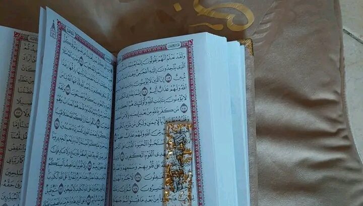جمال البكج أحلى هدية ممكن تقدمها