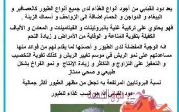 Mealworm دود قبابي حي ميلوورم مزارع خنافس لإنتاج دود القبابي