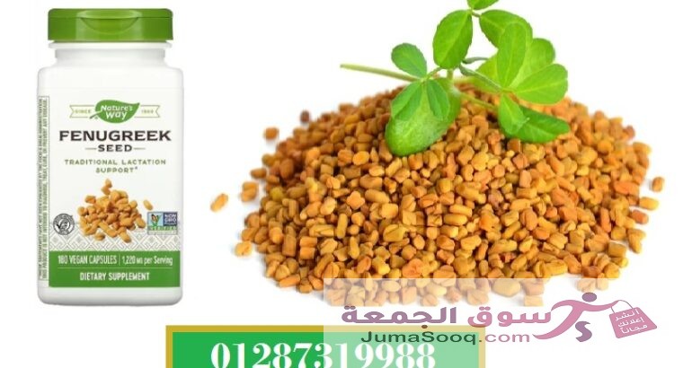 كبسولات الحلبة fenugreek لدعم الرضاعة Nature’s Way 180 كبسولة