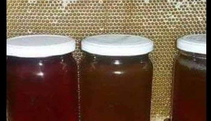 مناحل نيسان لإنتاج العسل البلدي
