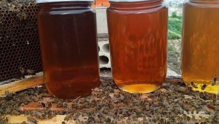 مناحل نيسان لإنتاج العسل البلدي